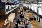 museum voor natuurwetenschappen brussel 11-2022 5596